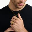 Ring Glieder gold aus der  Kollektion im Online Shop von THOMAS SABO