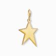Charm pendant Golden star from the Charm Club collection in the THOMAS SABO online store