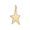 Charm pendant Golden star from the Charm Club collection in the THOMAS SABO online store