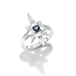 ring Stj&auml;rna
