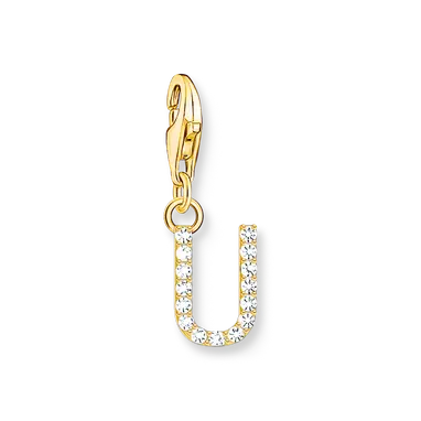 image.alt