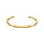 Bangle snakeskin gold from the  collection in the THOMAS SABO online store