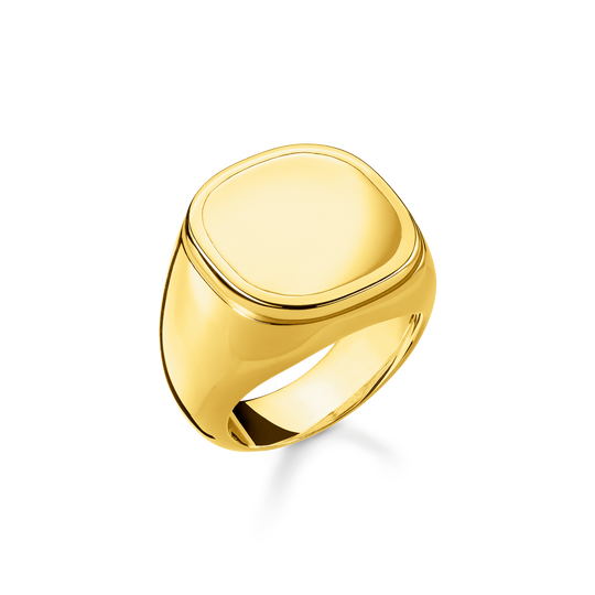 bague Classic de la collection  dans la boutique en ligne de THOMAS SABO