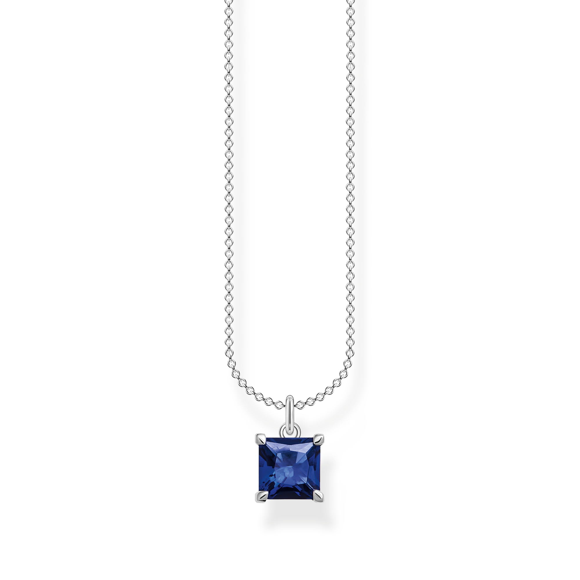 Delicate Necklaces – Charm Club 