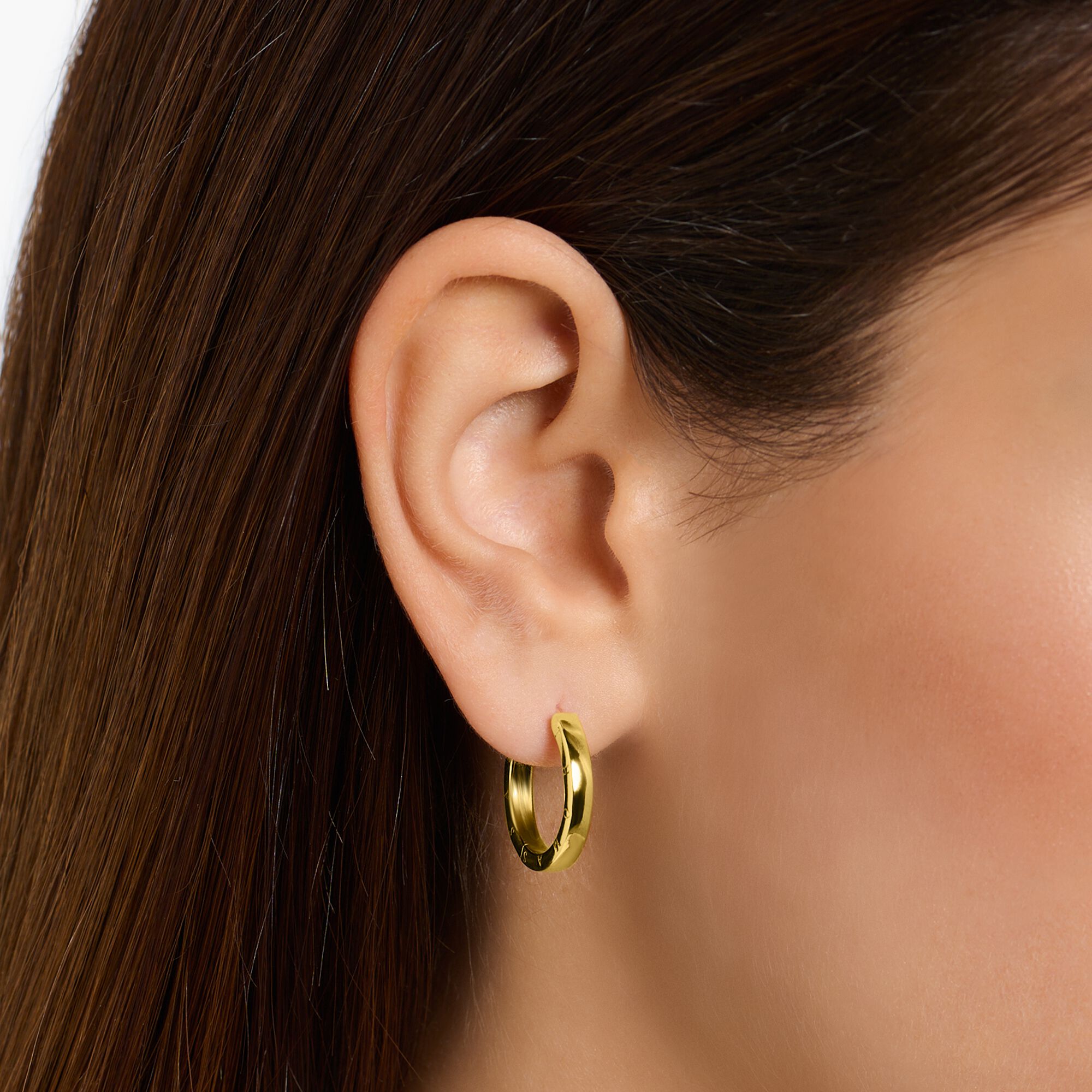 Verenigde Staten van Amerika motto Verplicht Hoop earrings, silver with yellow gold plating – THOMAS SABO