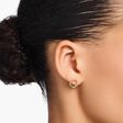 Clous d&rsquo;oreilles Together ronds, placage dor&eacute; et gemmes multicolores de la collection  dans la boutique en ligne de THOMAS SABO