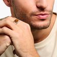 Ring tiger&lsquo;s eye from the  collection in the THOMAS SABO online store