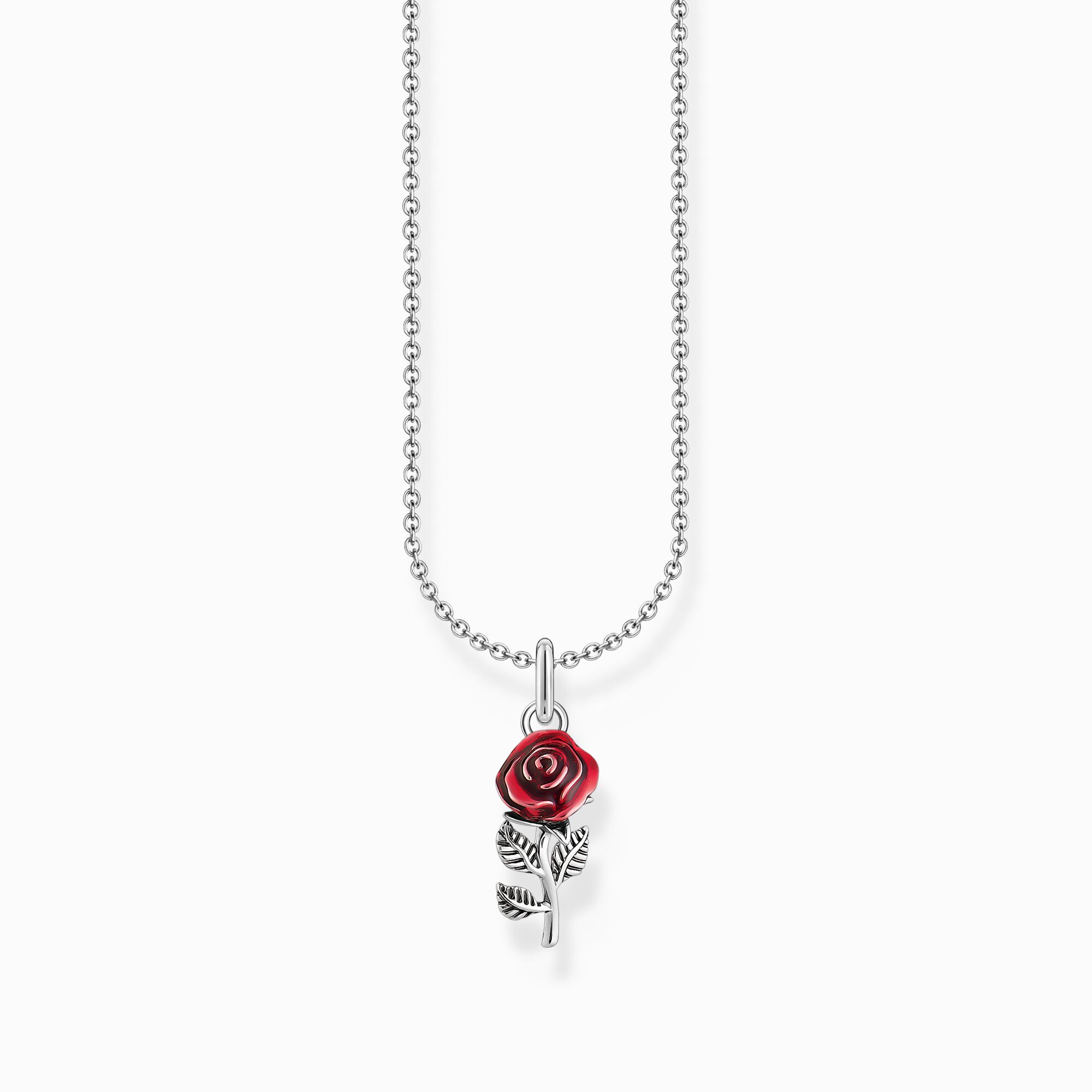 Cha&icirc;ne &agrave; breloque rose rouge, argent de la collection Charming Collection dans la boutique en ligne de THOMAS SABO