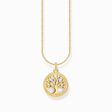 Gold-plated necklace with tree of love pendant and cold enamel from the Charming Collection collection in the THOMAS SABO online store