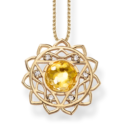 necklace from the Chakras collection in the THOMAS SABO online store