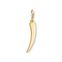 Charm pendant Golden tooth from the Charm Club collection in the THOMAS SABO online store