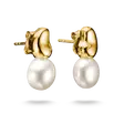 ear studs