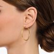Gold-plated medium hoop earrings from the  collection in the THOMAS SABO online store