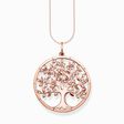 Set Kette Tree of Love ros&eacute;gold aus der  Kollektion im Online Shop von THOMAS SABO