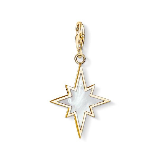 Charm pendant star mother-of-pearl from the Charm Club collection in the THOMAS SABO online store