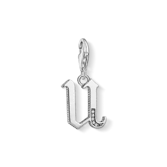 image.alt