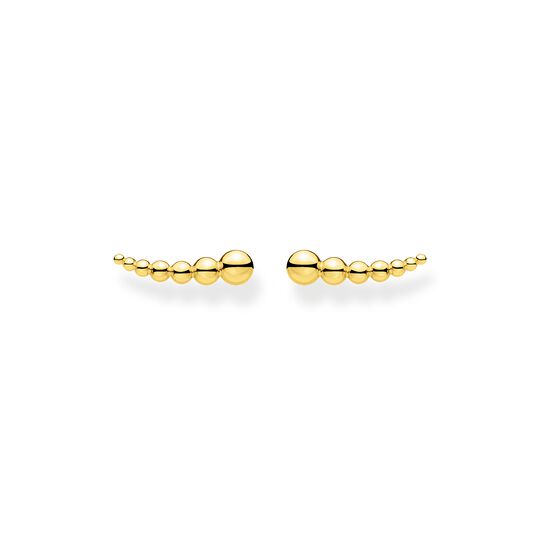 Boucles d&#39;oreilles grimpante perles or de la collection Charming Collection dans la boutique en ligne de THOMAS SABO