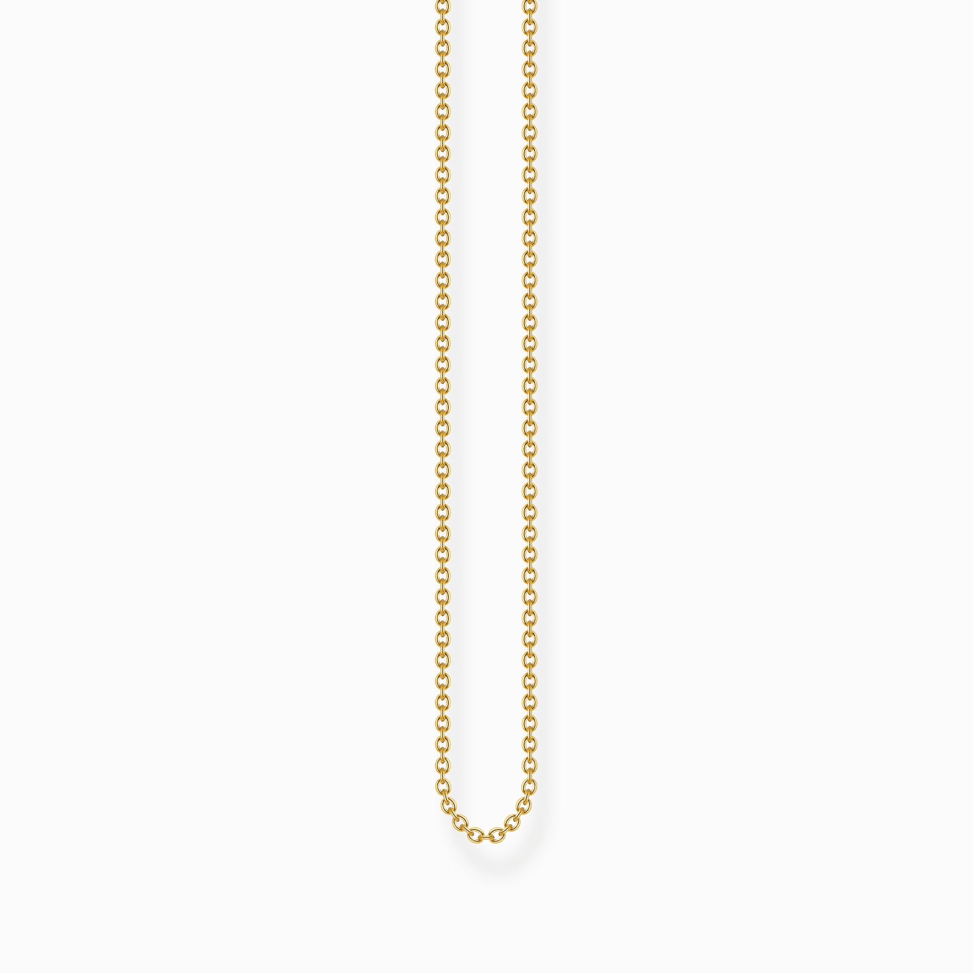 Yellow-gold plated fine anchor chain from the  collection in the THOMAS SABO online store