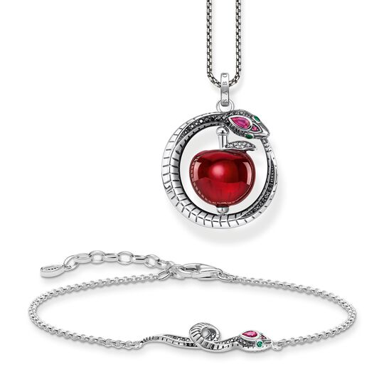 Jewellery set snake with apple silver from the  collection in the THOMAS SABO online store