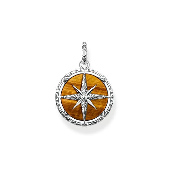Pendant compass tiger&lsquo;s eye from the  collection in the THOMAS SABO online store