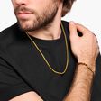 Venezia chain gold plated from the  collection in the THOMAS SABO online store