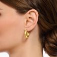 Gold-plated small chunky hoop earrings from the  collection in the THOMAS SABO online store