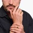 Yellow-gold plated band ring with crocodile detailing from the  collection in the THOMAS SABO online store