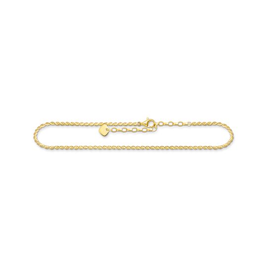 Anklet gold from the  collection in the THOMAS SABO online store