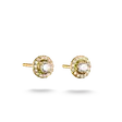 clous d'oreilles