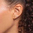 Ohrringe Ear Climber wei&szlig;e Steine gold aus der Charming Collection Kollektion im Online Shop von THOMAS SABO
