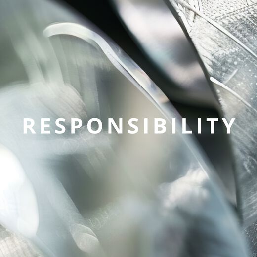 Jewelry set Bracelet skull & element earth necklace in silver THOMAS